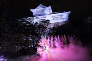 津山城ナイトファンタジア夏桜