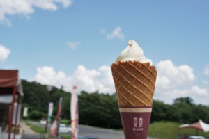 蒜山ジャージーランド ソフトクリーム