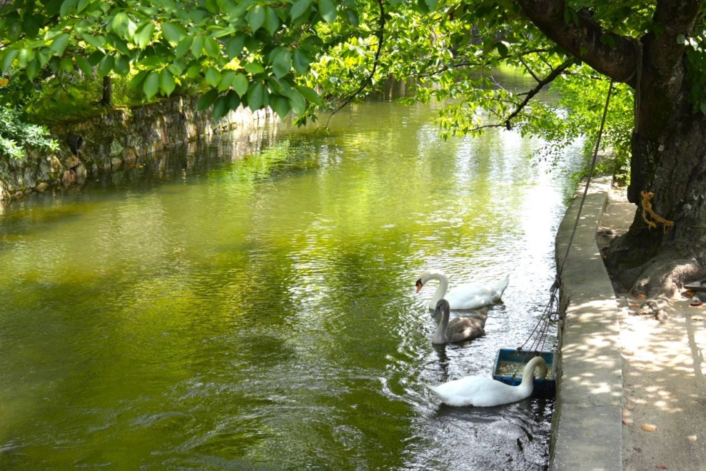 映画『蔵のある街』ロケ地 倉敷