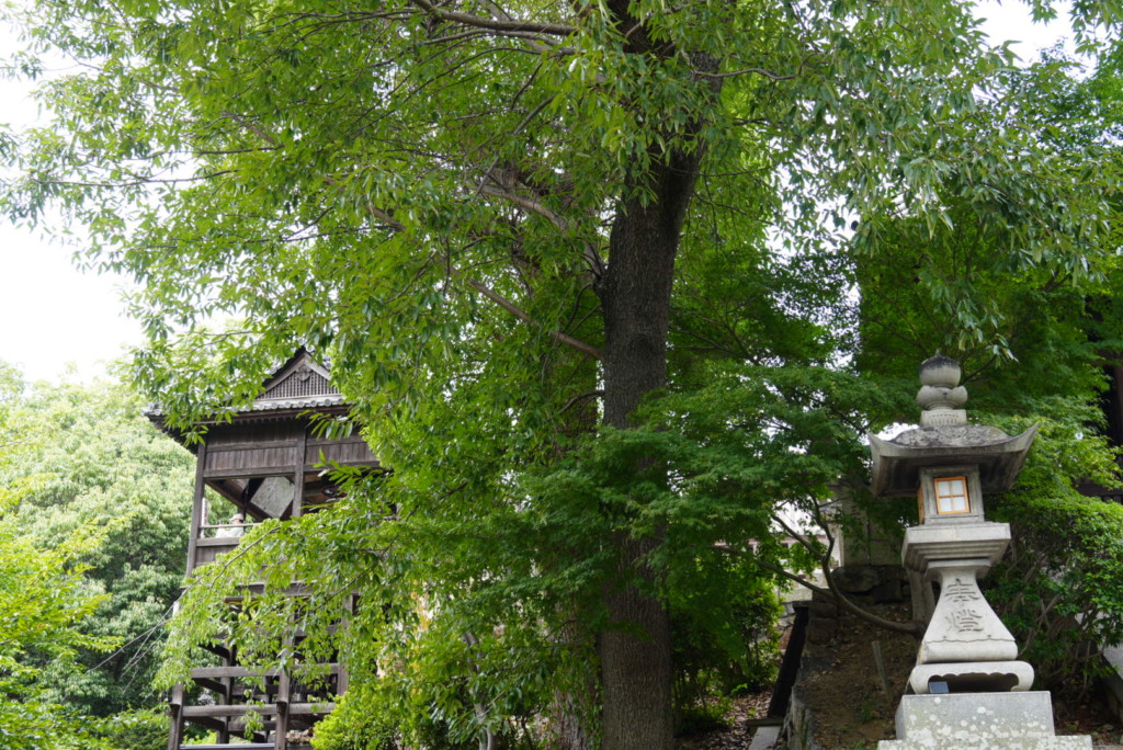 映画『蔵のある街』ロケ地 倉敷